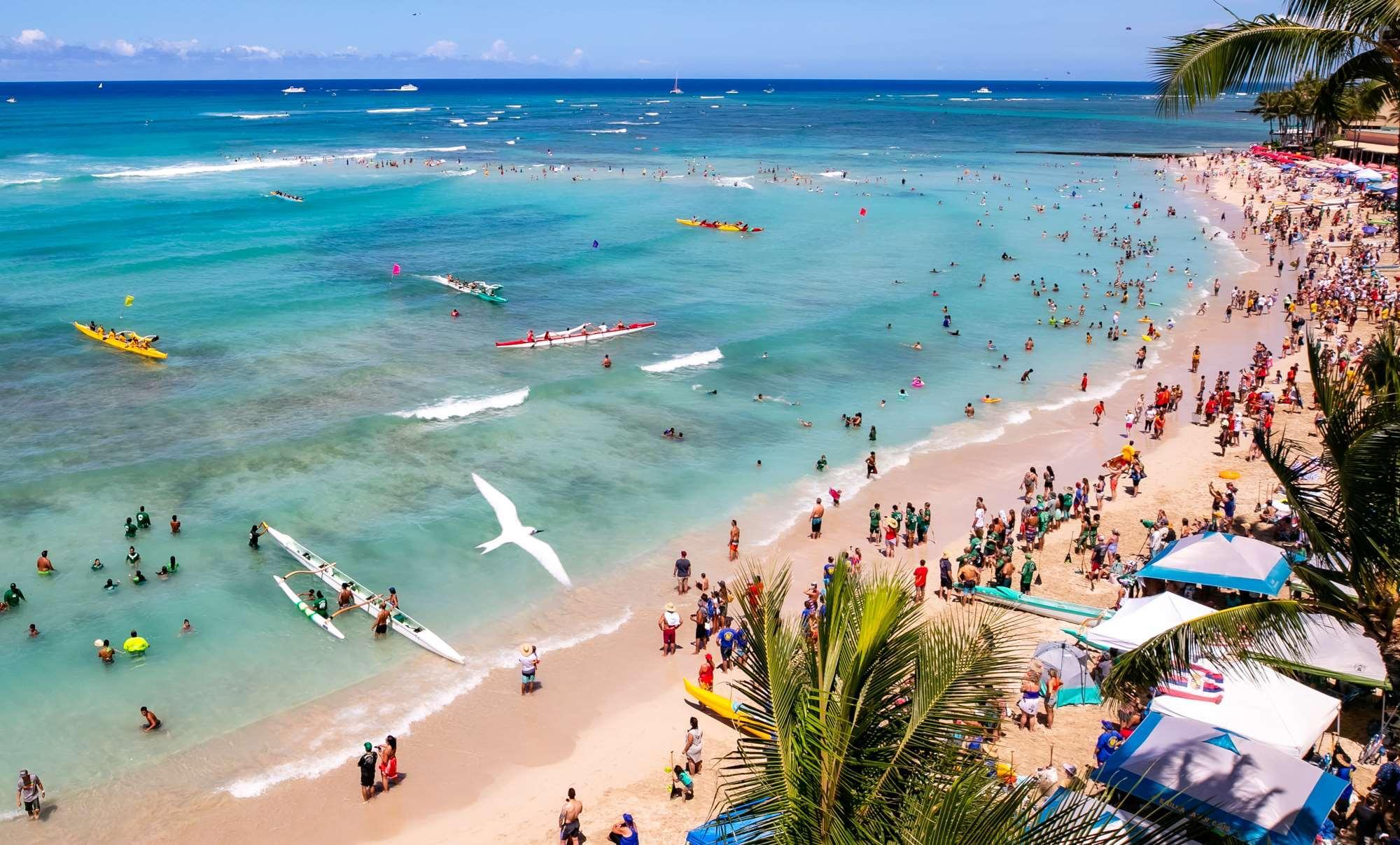 Coconut Waikiki Hotel Honolulu Zewnętrze zdjęcie