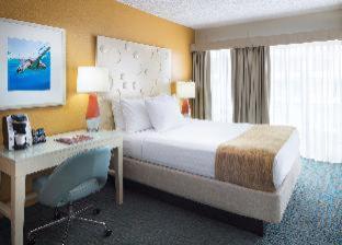 Coconut Waikiki Hotel Honolulu Pokój zdjęcie